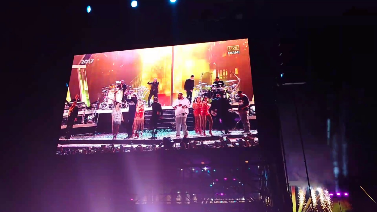 tarantula spider January 1, 2017