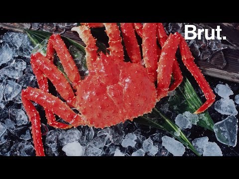 Vidéo: Différence Entre Le Crabe Des Neiges Et Le Crabe Royal