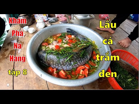 Video: Đĩa Cá Trong Chậu