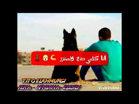 حالات واتس حمو بيكا كان كلو شارب و مبدر 2018