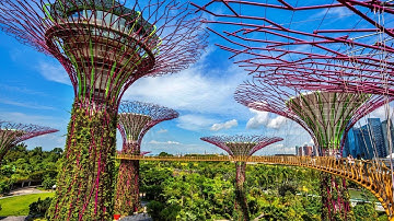 Gardens by the Bay, Supertrees - Featured Project