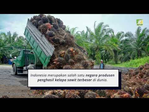 Video: Mengapa kita menggunakan biofuel?