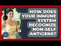 How Does Your Immune System Recognize Non-self Antigens? - All About the Immune System