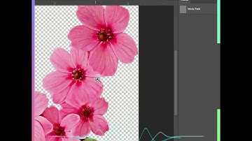 Photoshop Smart Color Change #textileprinting #digitalprint #photoshoptutorial #fashiondesign