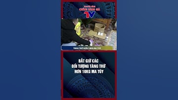 BẮT GIỮ CÁC ĐỐI TƯỢNG TÀNG TRỮ HƠN 10KG MA TÚY
