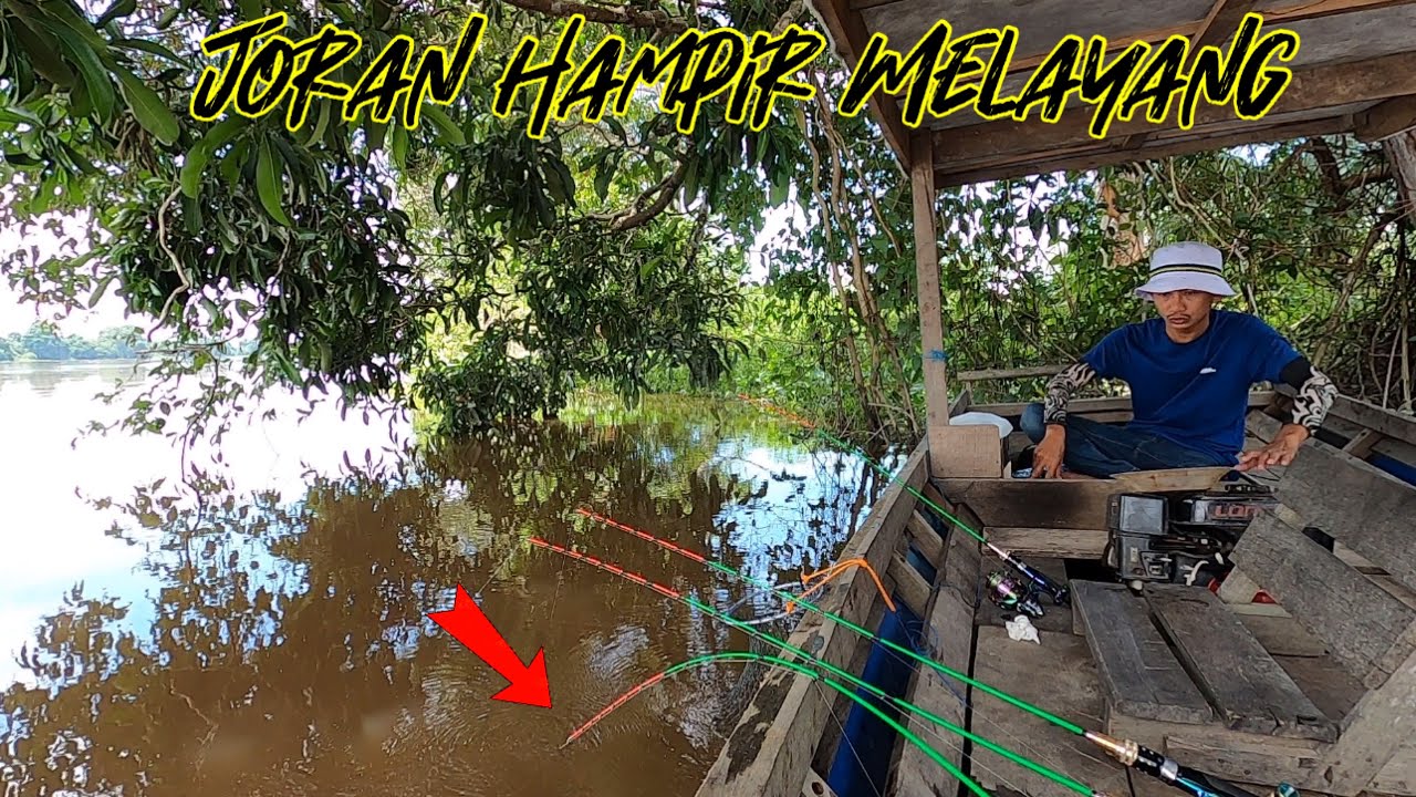 TARIKAN KERAS DI BAWAH POHON BESAR || MANCING UDANG GALAH