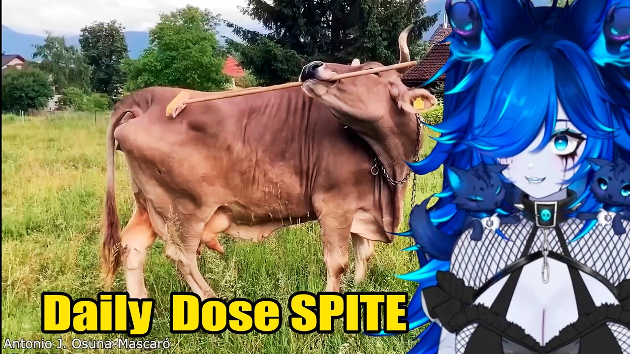 Spite Reacts to Daily Dose of Internet: Pure Chaos Edition