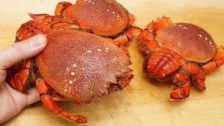 アサヒガニの茹で方と酢の物の作り方