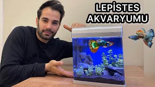 LEPİSTES AKVARYUMU YAPTIK - Takipçime Akvaryum Hediyesi