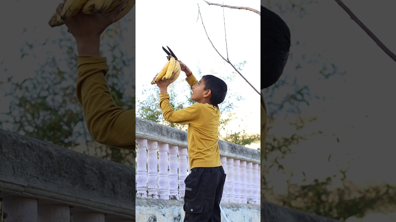 Ух ты, я тоже буду есть бананы 😱 