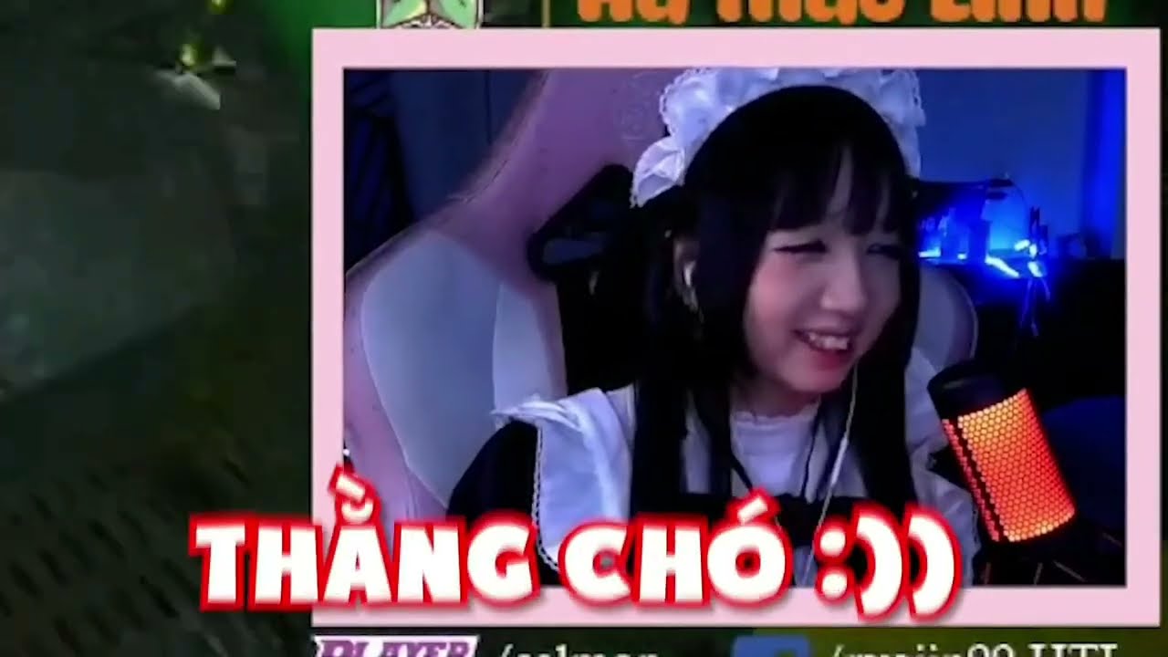 CHÓ KONG - youtube