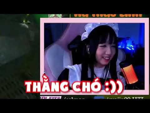 Video CHÓ KONG - youtube