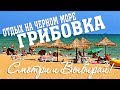 Отдых на Черном море в курорте Грибовка на Базах отдыха.