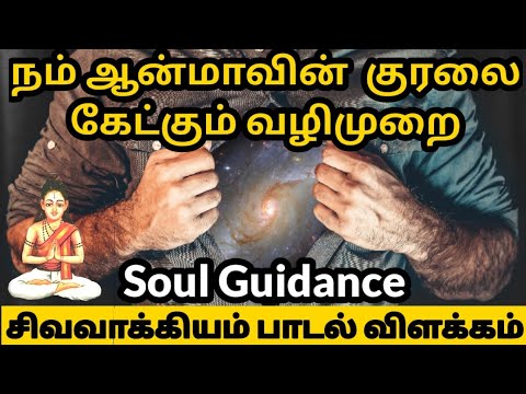 நம் ஆன்மாவின் குரலை கேட்பது எப்படி| How to get your soul guidance| sivavakkiyar|சித்தர் சிவவாக்கியர்