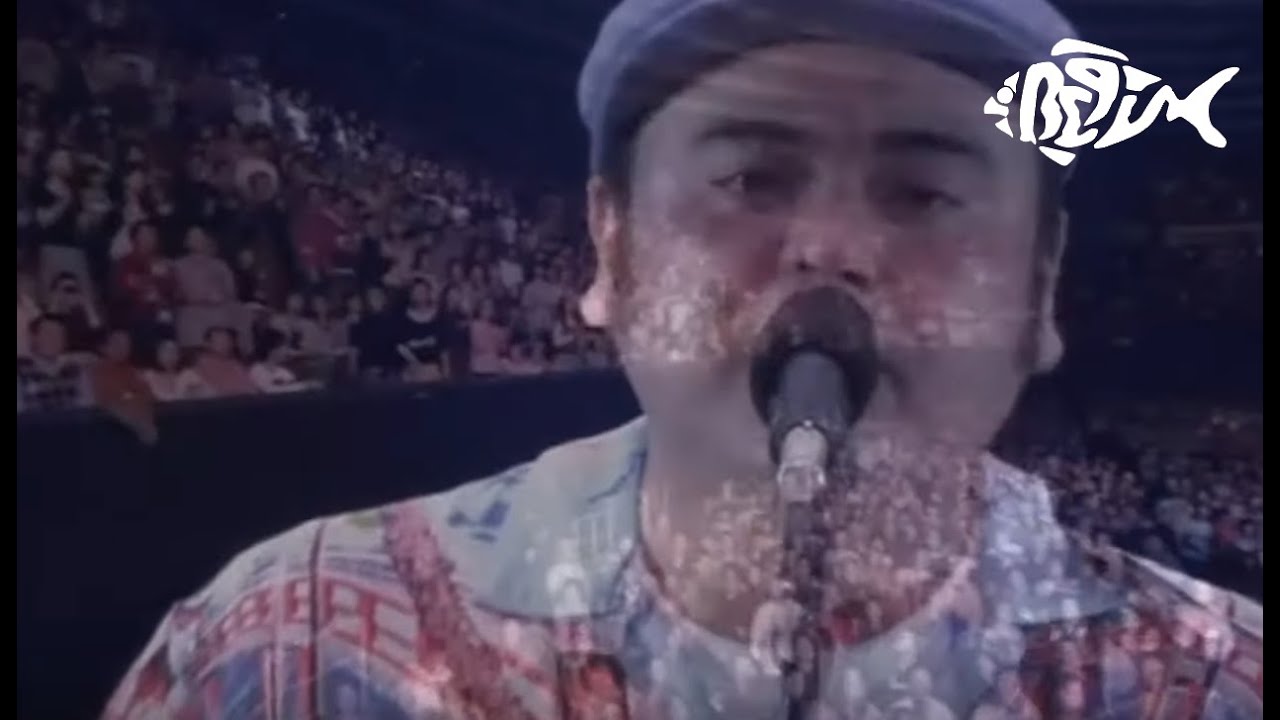 BEGIN／島人ぬ宝（15th ANNIVERSARY CONCERT ～Wonderful Tonight～ at