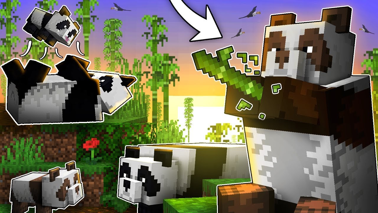 Everything You Need To Know About PANDAS In Minecraft! - YouTube