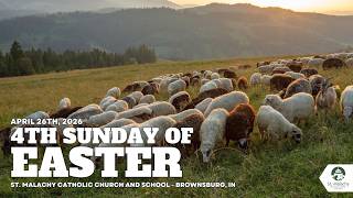 4th Sunday of Easter