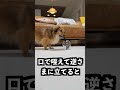 酒好きに渡してはいけないグラスの使い方が恐ろしすぎた!