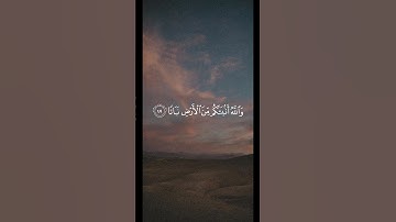 تلاوة من سورة نوح للشيخ عبدالله القرافي