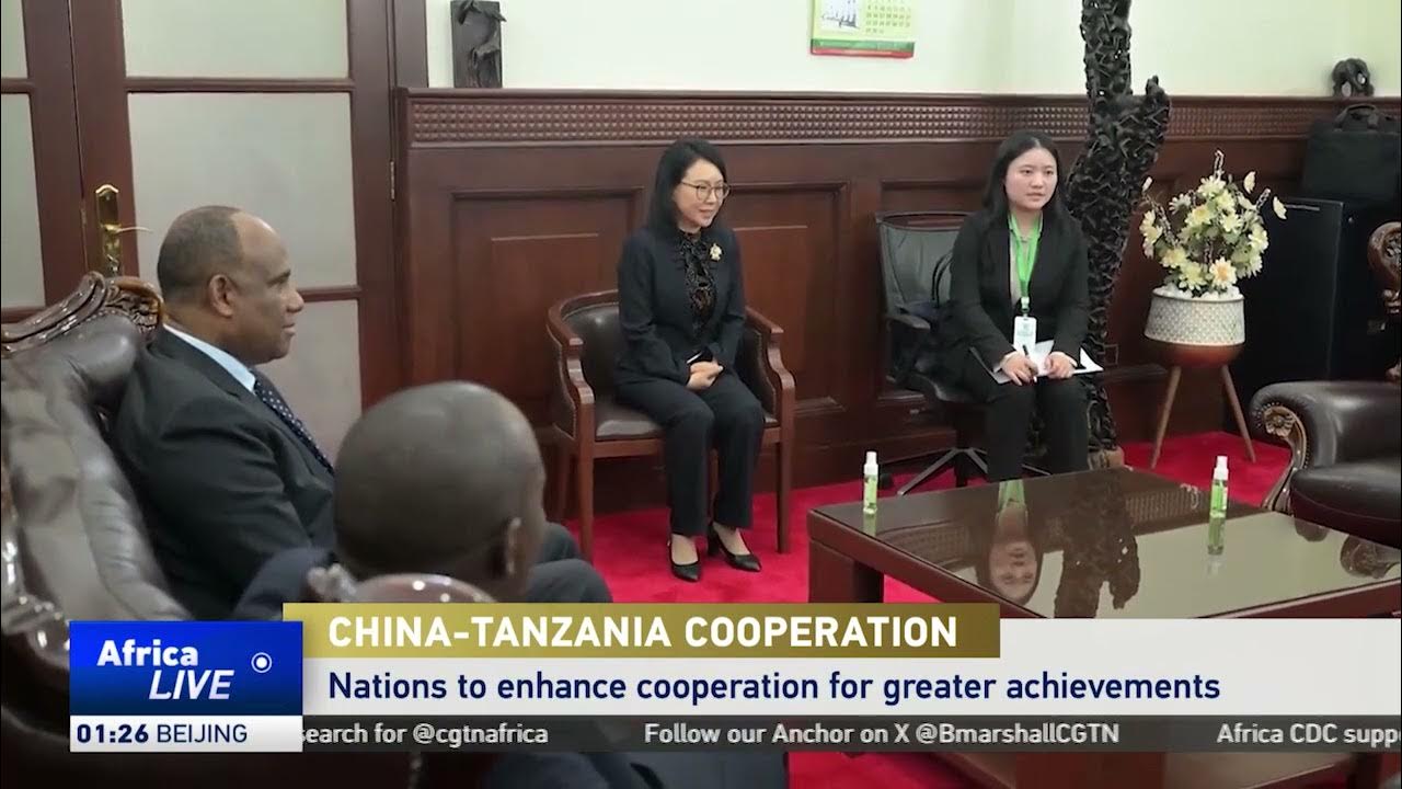 Chinese Vice Premier Liu meets Tanzanian president, PM