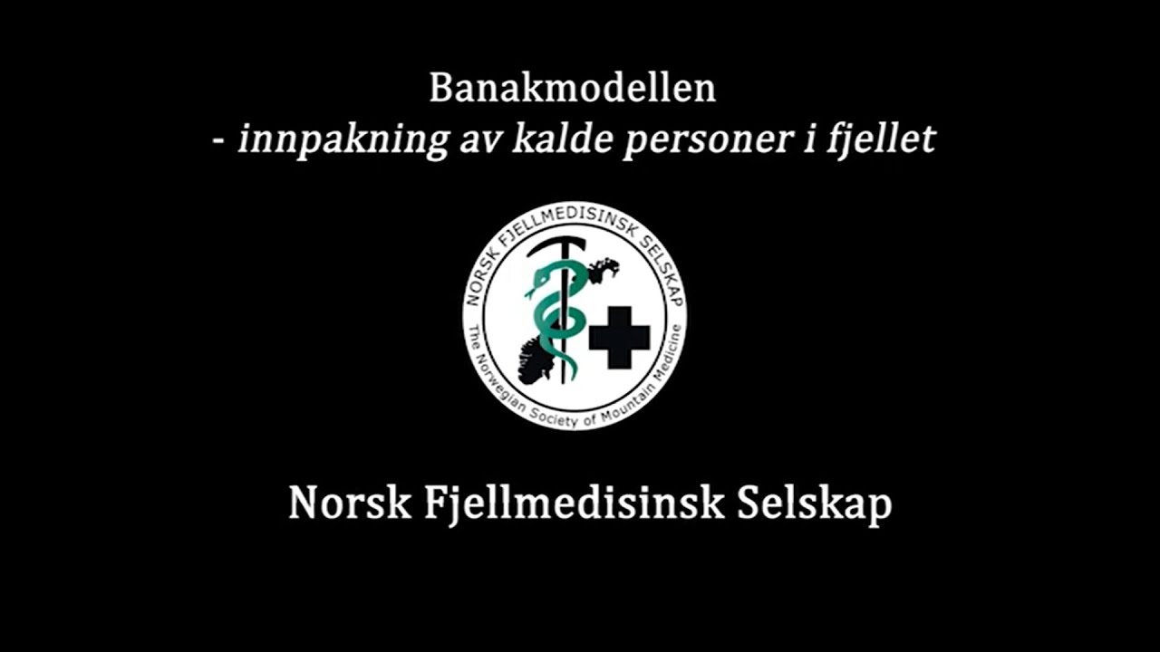 Banakmodellen