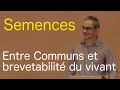 Semences et varits vgtales  un commun face  la brevetabilit du vivant  f thomas