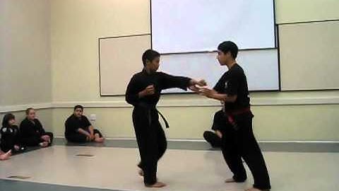 Uechi-Ryu Karate - Kyu Kumite