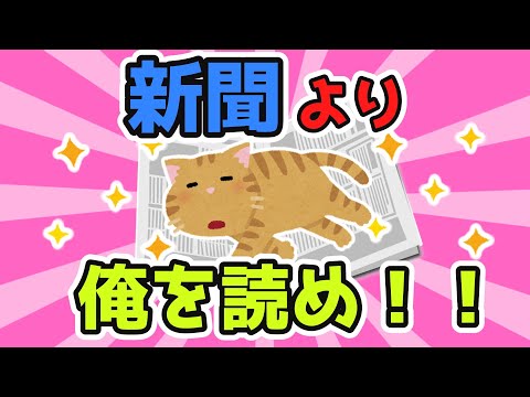【2ch面白スレ】猫「新聞より俺を読め！」→飼い主「…（かわいいんだから）」【ゆっくり解説】