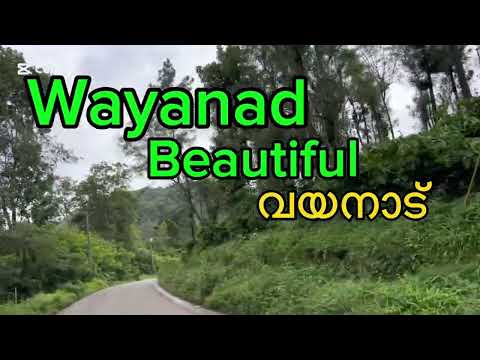 വയനാട് എന്നും ഓർമ്മകളിൽ മനോഹരമായി നിൽക്കുന്നു 🥰