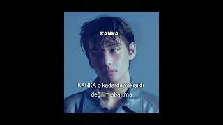 k-kanka ~#keşfet #taehyung #straykids #stay #keşfetbeniöneçıkar