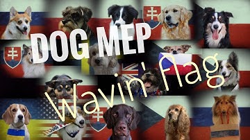 DOG MEP - Wavin
