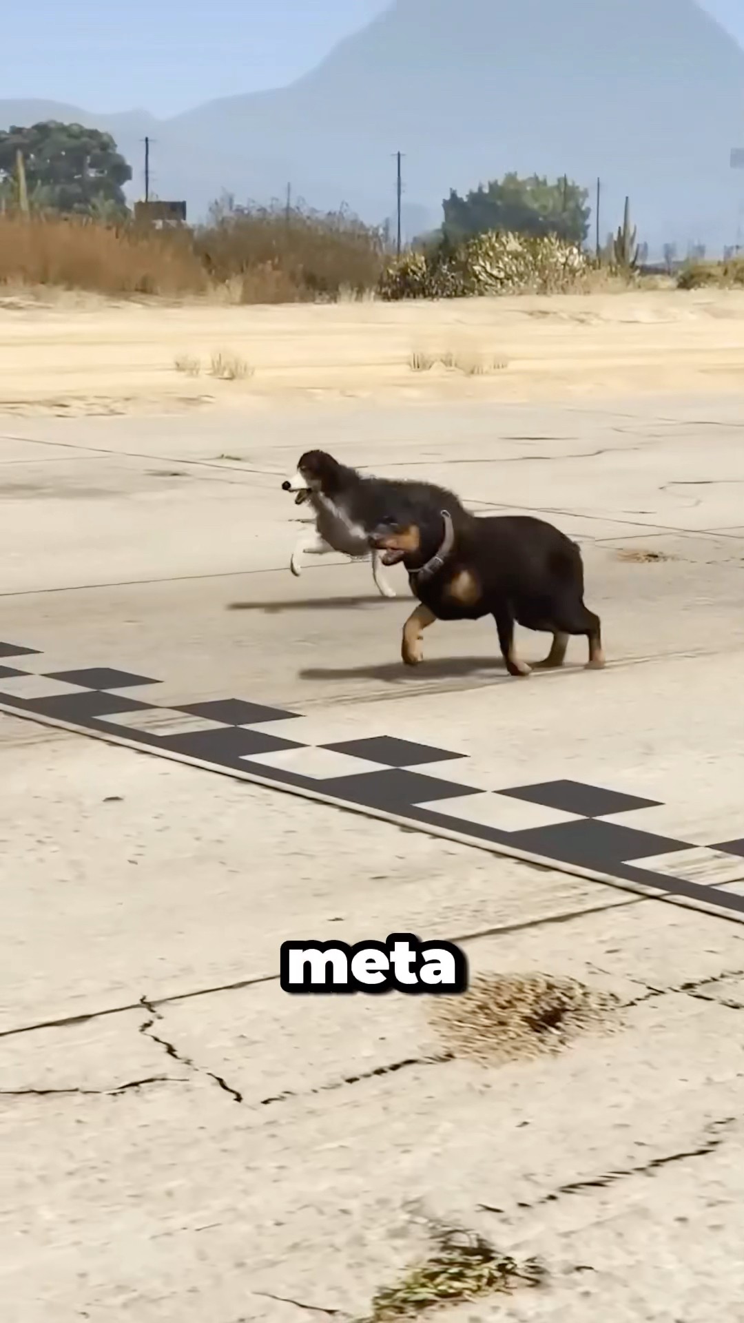 Qué Perro es el Más Rápido de GTA 5 ? #gta #shorts