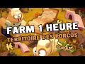 [DOFUS] Farm UNE HEURE le Territoire des Porcos #25 ( Amakna)