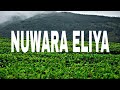 Nuwara eliya sri lanka