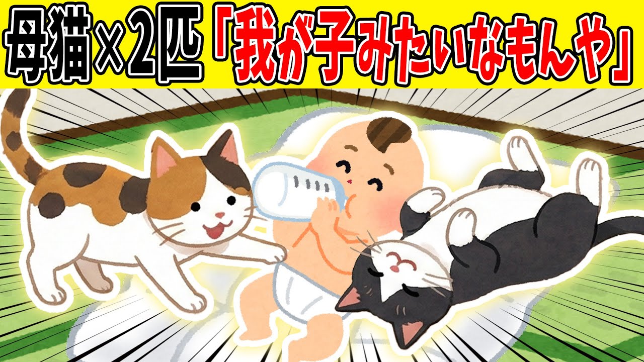 【神対応】元母猫たちに0歳児を任せたら、対応が手厚すぎた【ゆっくり】