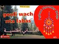 Wa Gouli Wach Nta Labas وا قولي واش نتا ﻻباس Aghani Nawader Blogs 