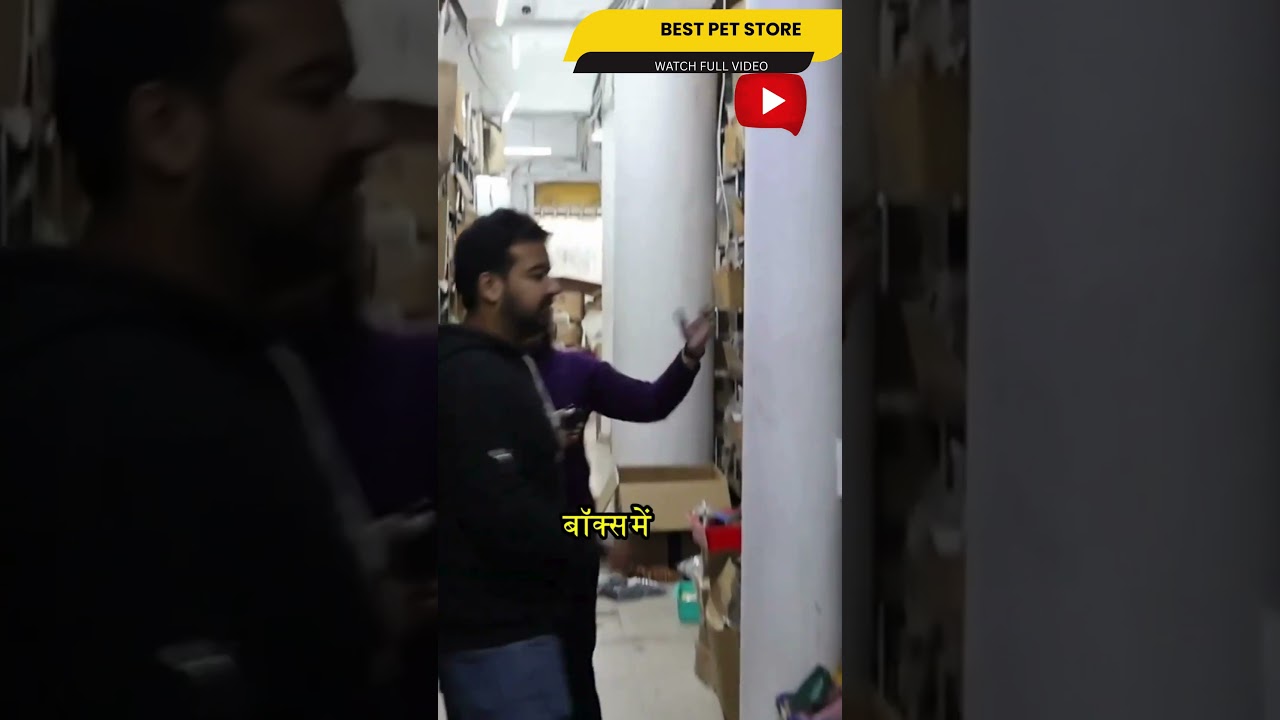 India’s #1 Pet Care Showroom | Full Tour of A-Z Pet Products | Emily Pets 