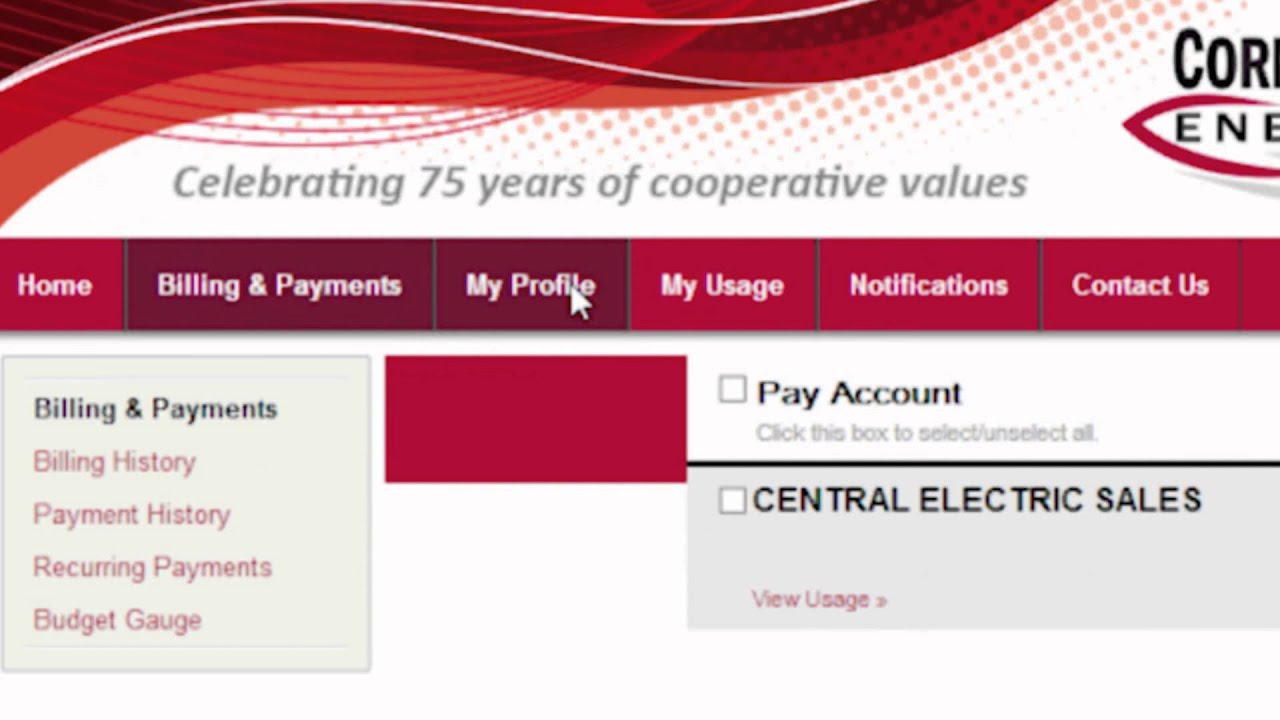 emPOWER: SmartHub Online Account