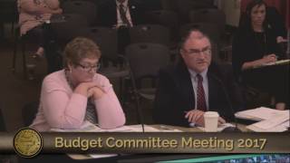 Business and Community Services Budget Presentation 2017