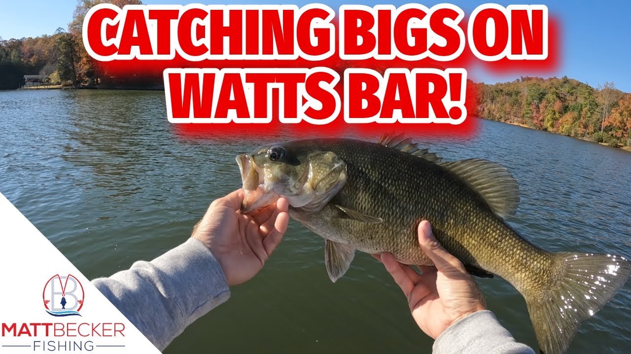 СОКРУШИТЕЛЬНЫЕ ГИГАНЫ в WATTS BAR!