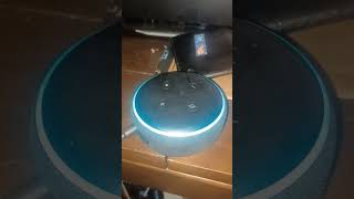 How to open Idaho Potato on your Alexa Divice#wikihow Wealth