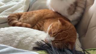 Ultimate American Time Zone Guide - Simplified
