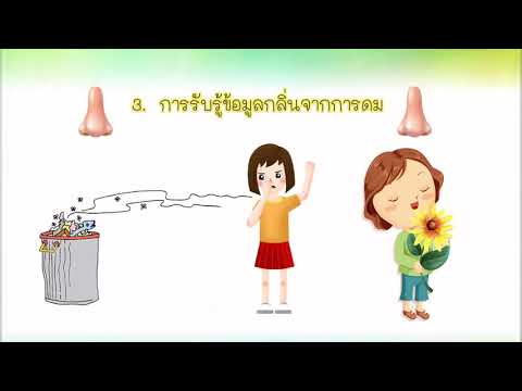 หน่วยรับข้อมูลของคน วิชา คอมพิวเตอร์ ชั้น ป.1