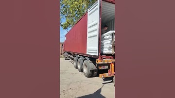 Export container loading
