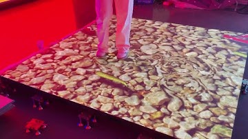 Interactive LED video floor display
