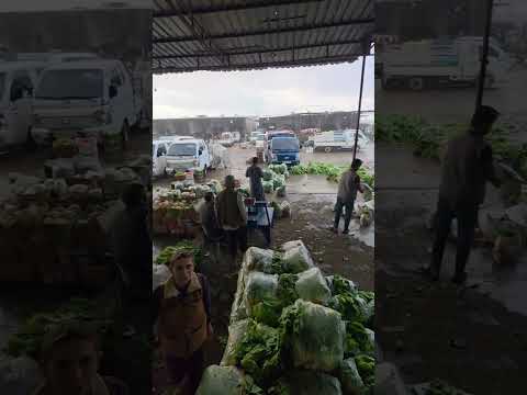 سوق الدانا معرة مصرين بدون اسعار امطار الخير تعم الدانا