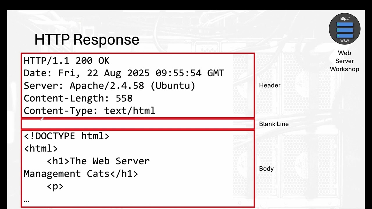 HTTP Protocol Basics – Understanding Requests and Responses
