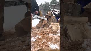 Red Beard Saws MS261cm for Ray
