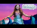 Disneys the little mermaid highlights