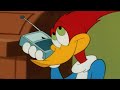 Woody&#39;s father visits Woody | Woody Woodpecker